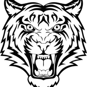 Animal Character Design - Custom Art